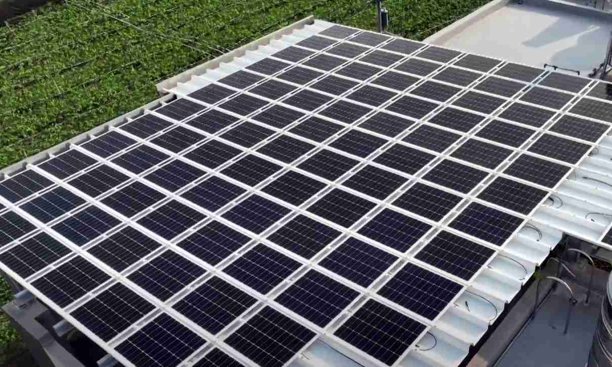 杏悦2SunSteel光电浪板升级双玻结构，，，，以提升机械负载强度及气候耐候度，，可广泛运用于多元场域